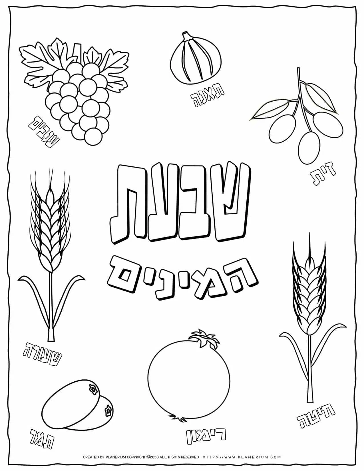 Shavuot coloring page