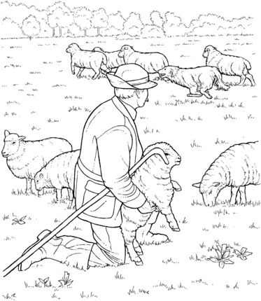 Sheep herd and shepherd coloring page supercoloring coloring pages farm coloring pages animal coloring pages