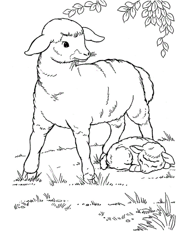 Sheep without a shepherd childrens sermons from