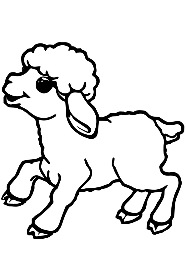 Coloring pages baby sheep coloring pages