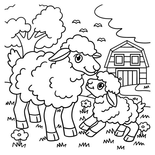 Sheep coloring pages stock illustrations royalty