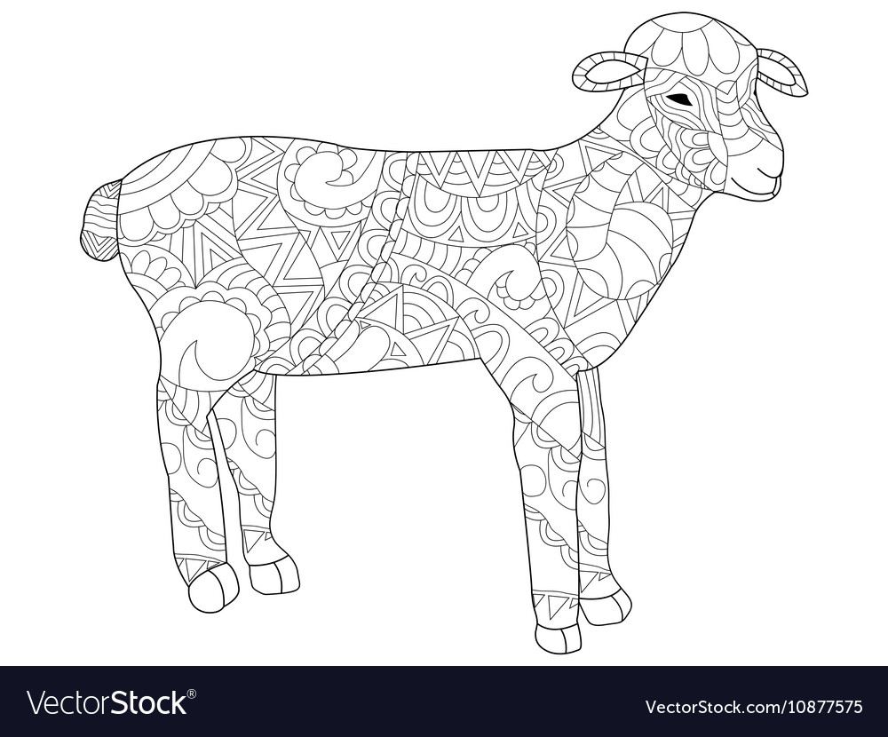 Sheep coloring for adults royalty free vector image