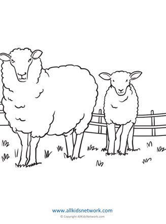 Sheep coloring page all kids network