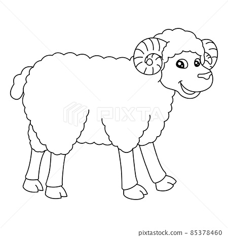 Sheep coloring page isolated for kids