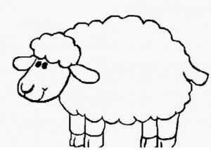 Sheep coloring pages for preschool artesanato de ovelhas pãginas para colorir ovelha desenho