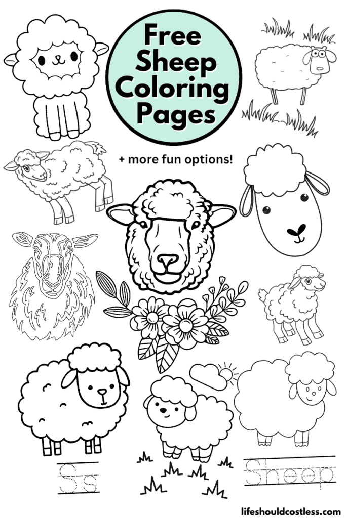 Sheep coloring pages free printable pdf templates