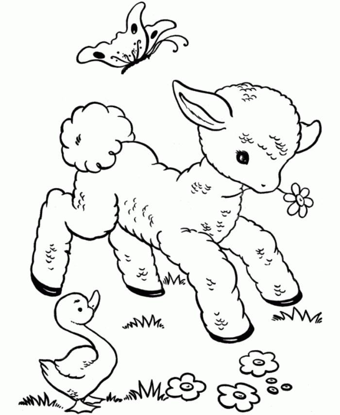 Free printable sheep coloring pages for kids