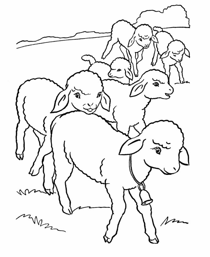 Free printable sheep coloring pages for kids