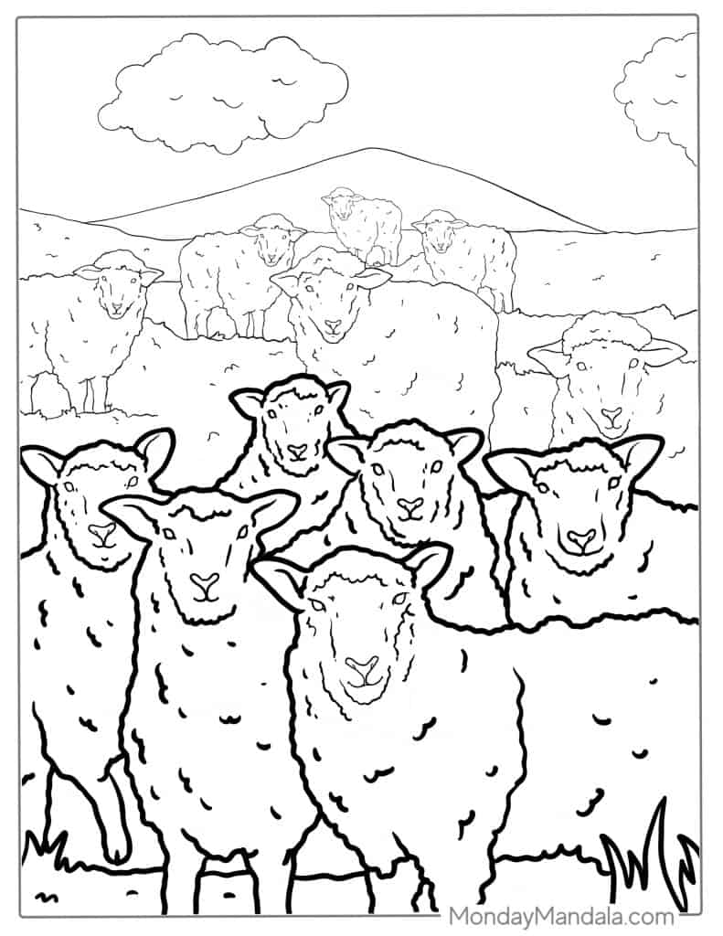 Sheep coloring pages free pdf printables