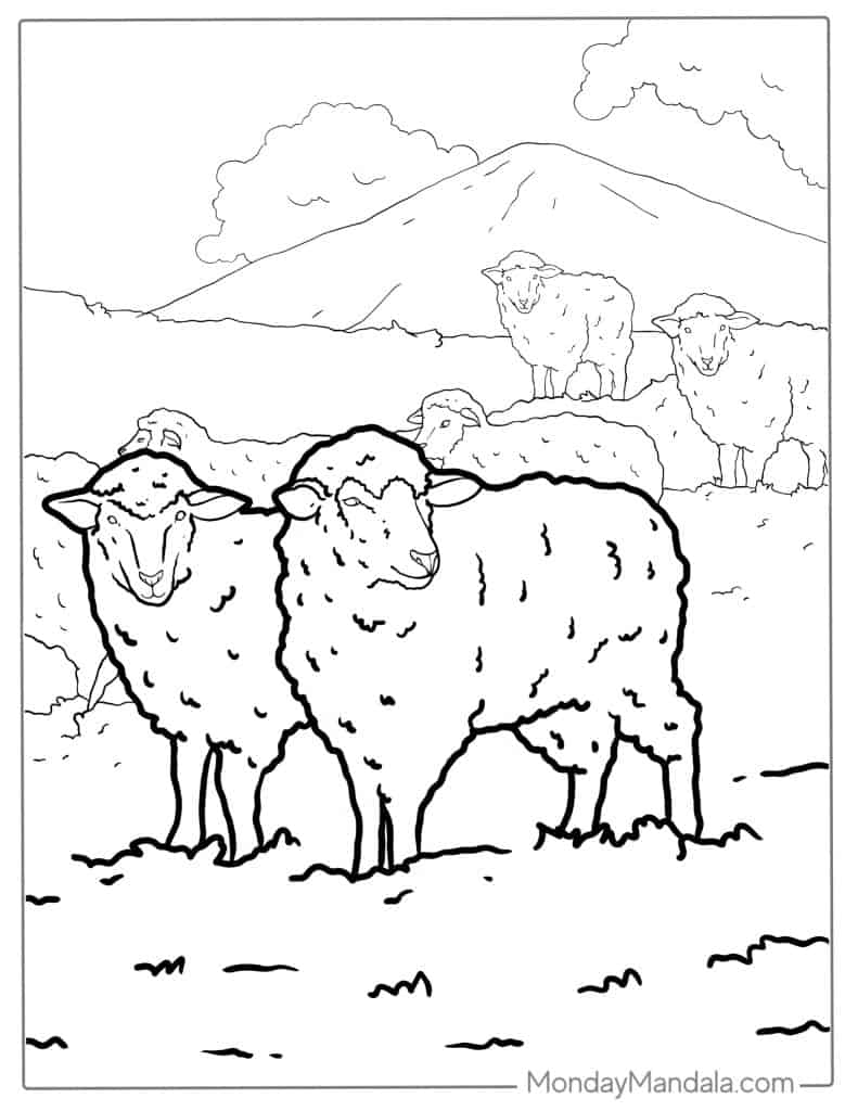 Sheep coloring pages free pdf printables