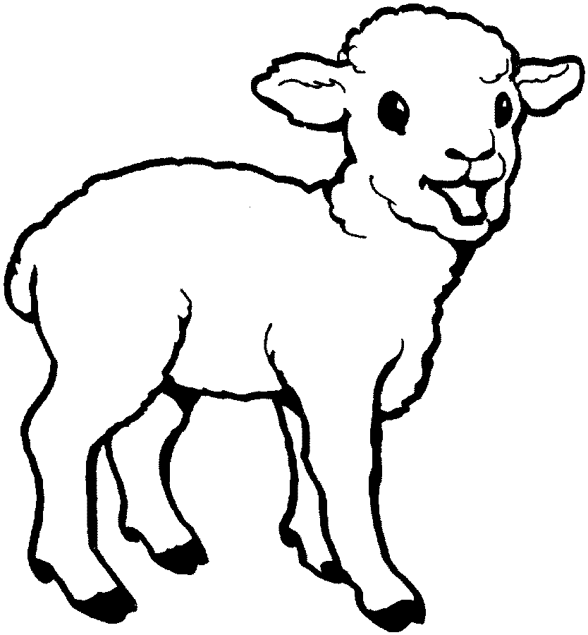 Free printable sheep coloring pages for kids