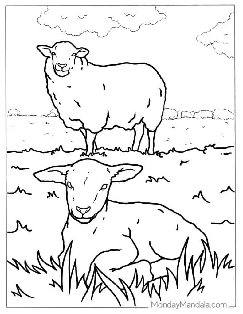 Sheep coloring pages free pdf printables