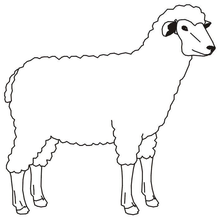 Sheep coloring page a woolly sheep