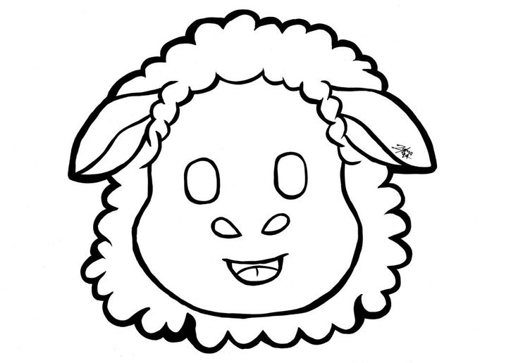 Sheep head