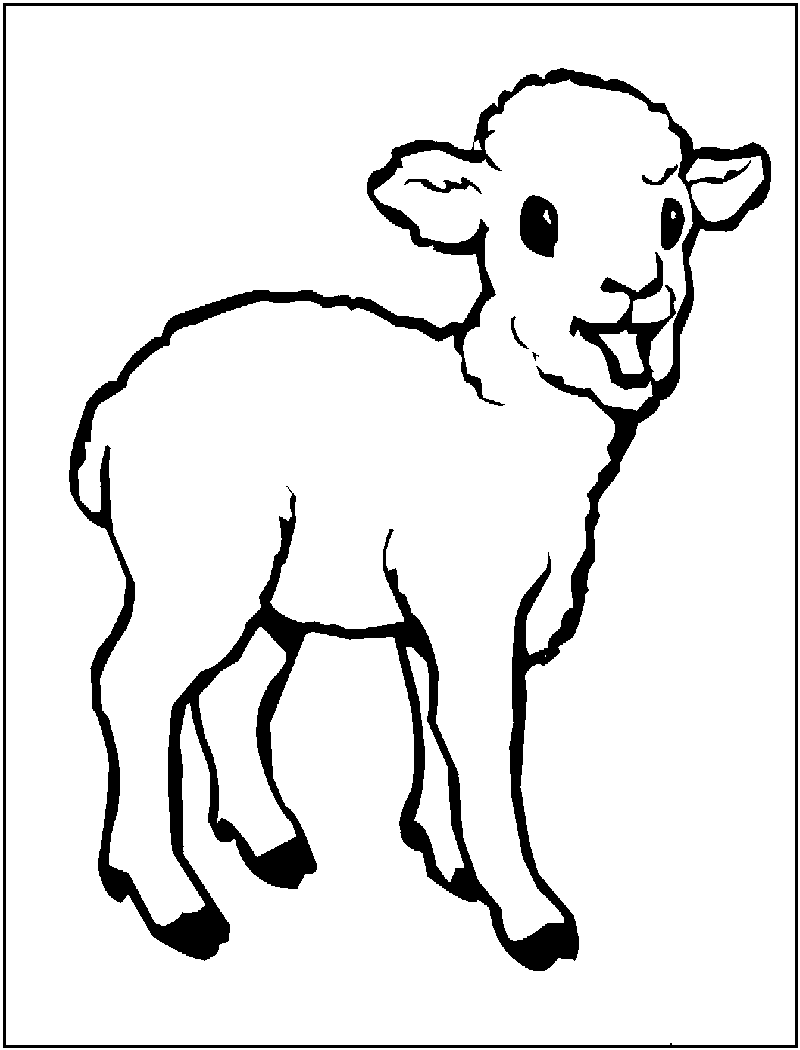 Free printable sheep coloring pages for kids