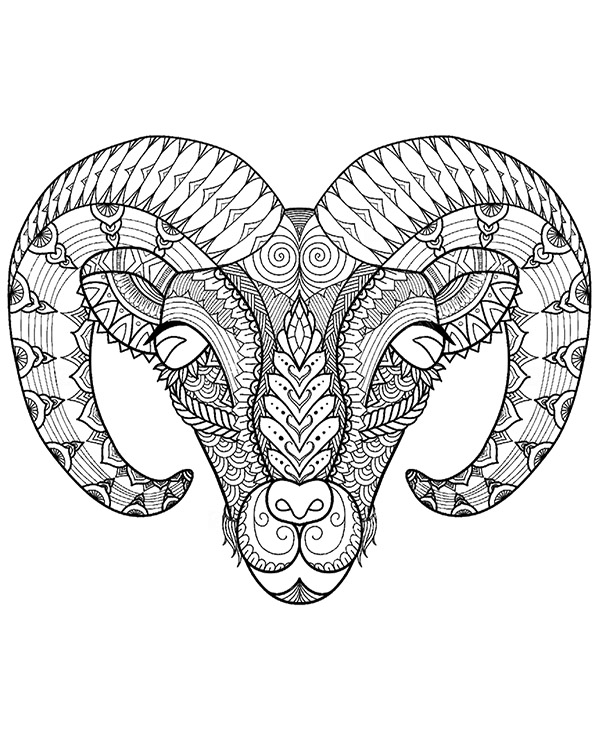 Muflon ram coloring page for adults free to print and color