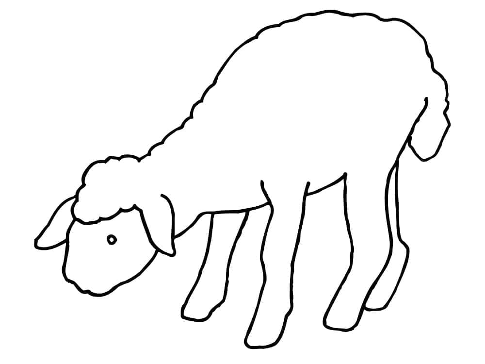 Free printable lamb coloring page