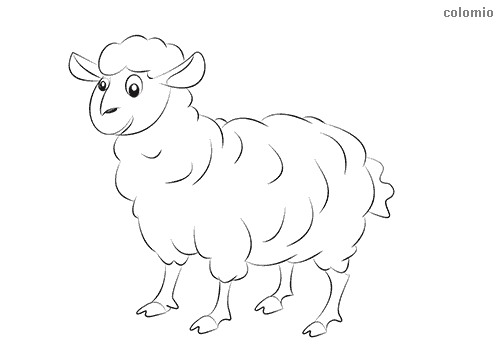 Sheeps coloring pages free printable sheep coloring sheets