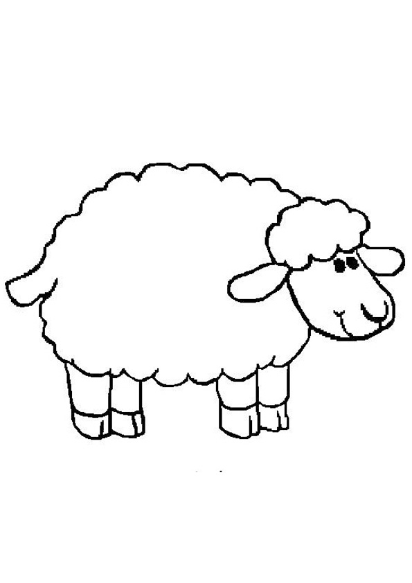 Coloring pages free printable sheep coloring pages