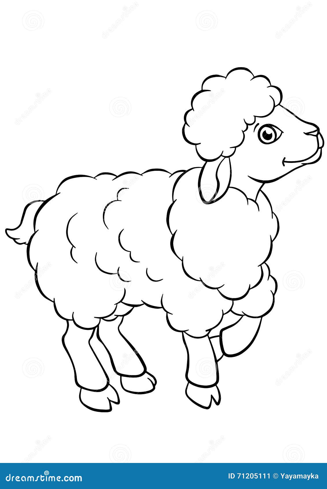 Coloring sheep illustrations vectors