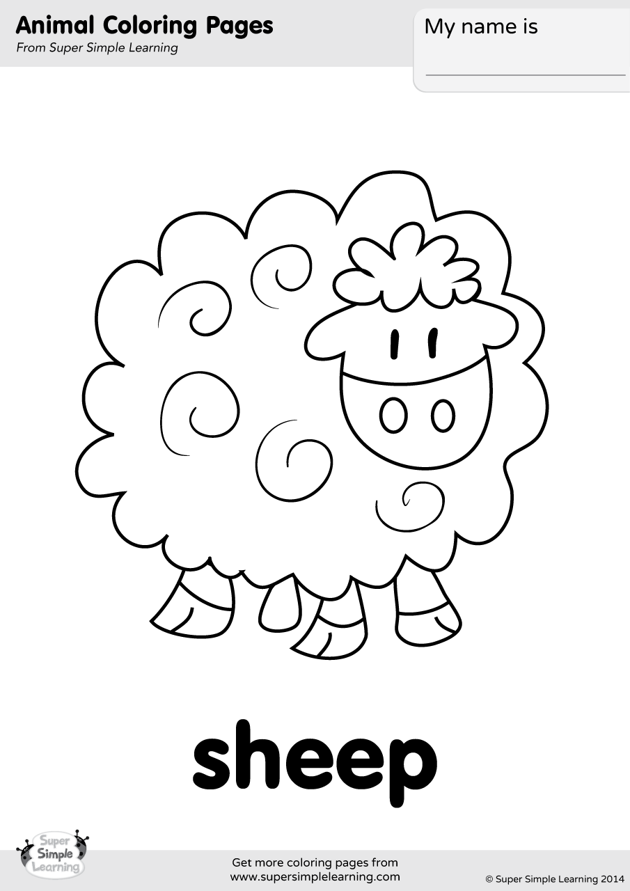 Sheep coloring page