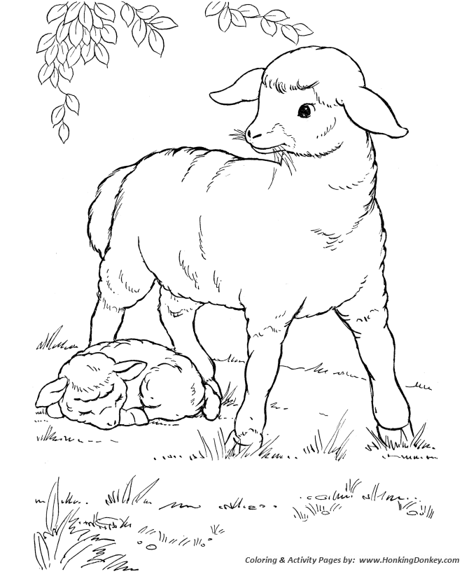 Farm animal coloring pages mother sheep coloring page and kids activity sheet