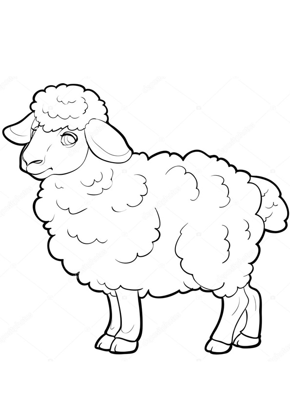 Coloring pages sheep coloring pages for kids