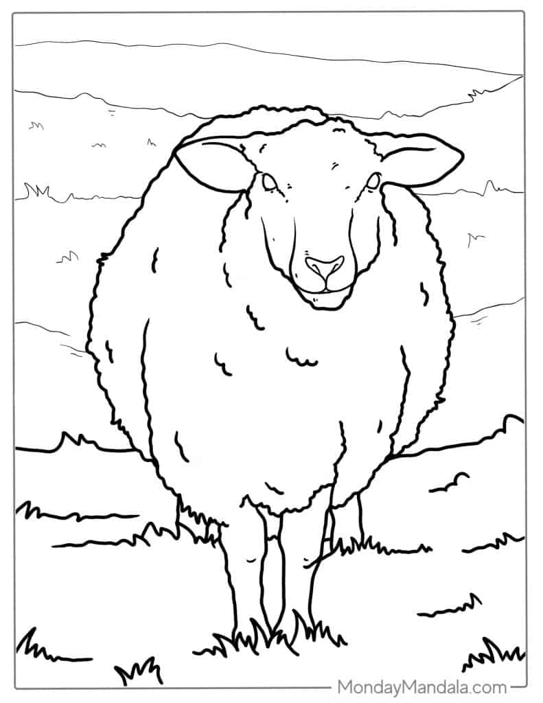 Sheep coloring pages free pdf printables