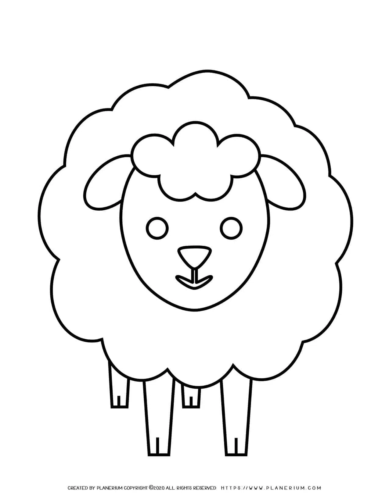 Sheep coloring page