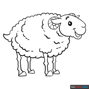 Sheep coloring page easy drawing guides