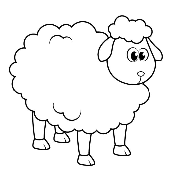 Sheep coloring pages