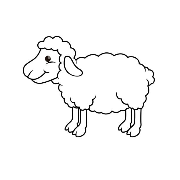 Sheep coloring pages stock illustrations royalty