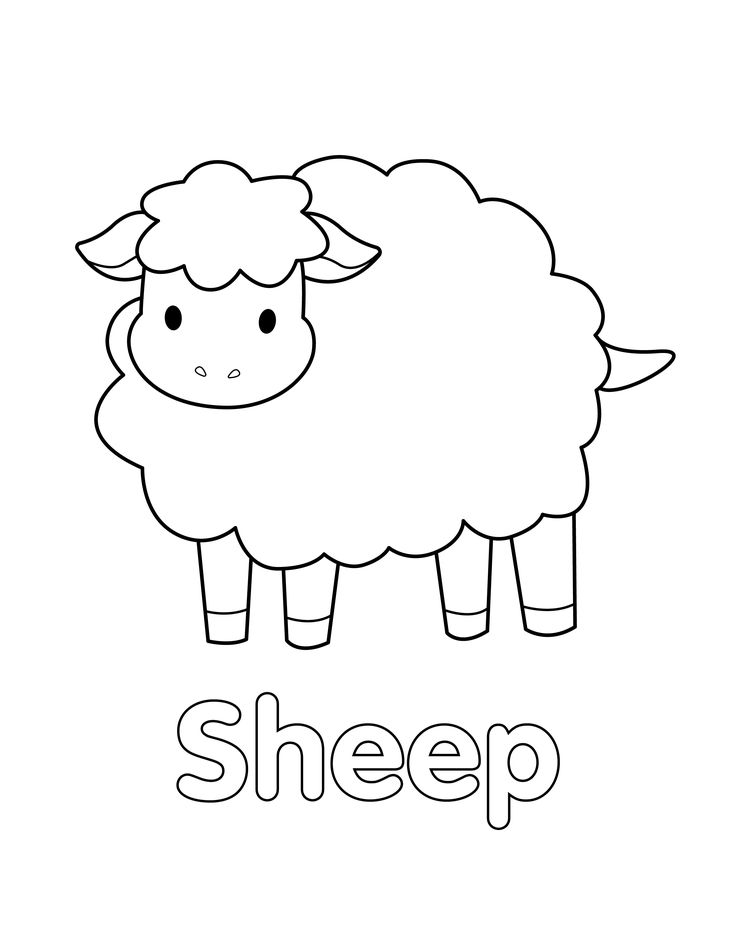 Adorable sheep coloring page