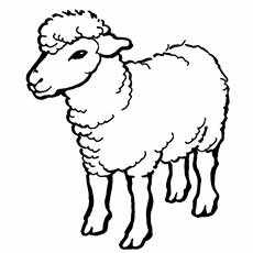 Top free printable sheep coloring pages online