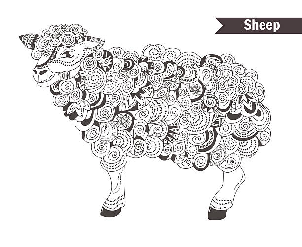 Sheep coloring pages stock illustrations royalty