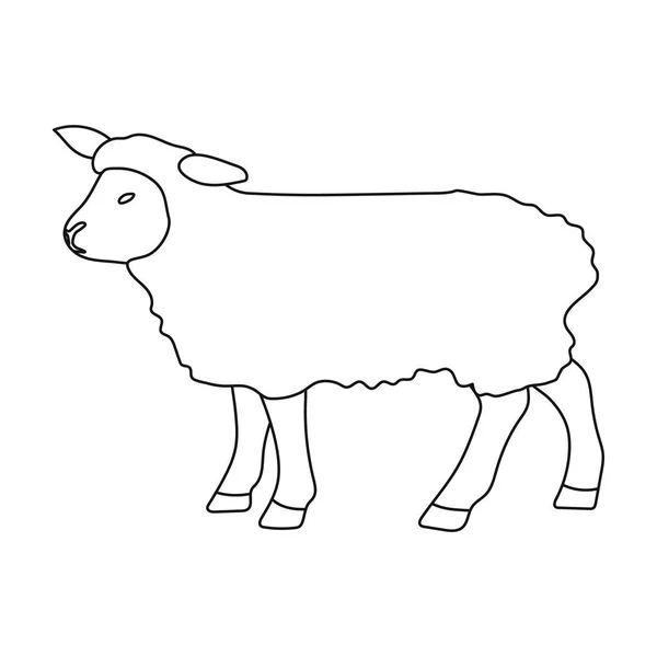 Sheep drawing vector images