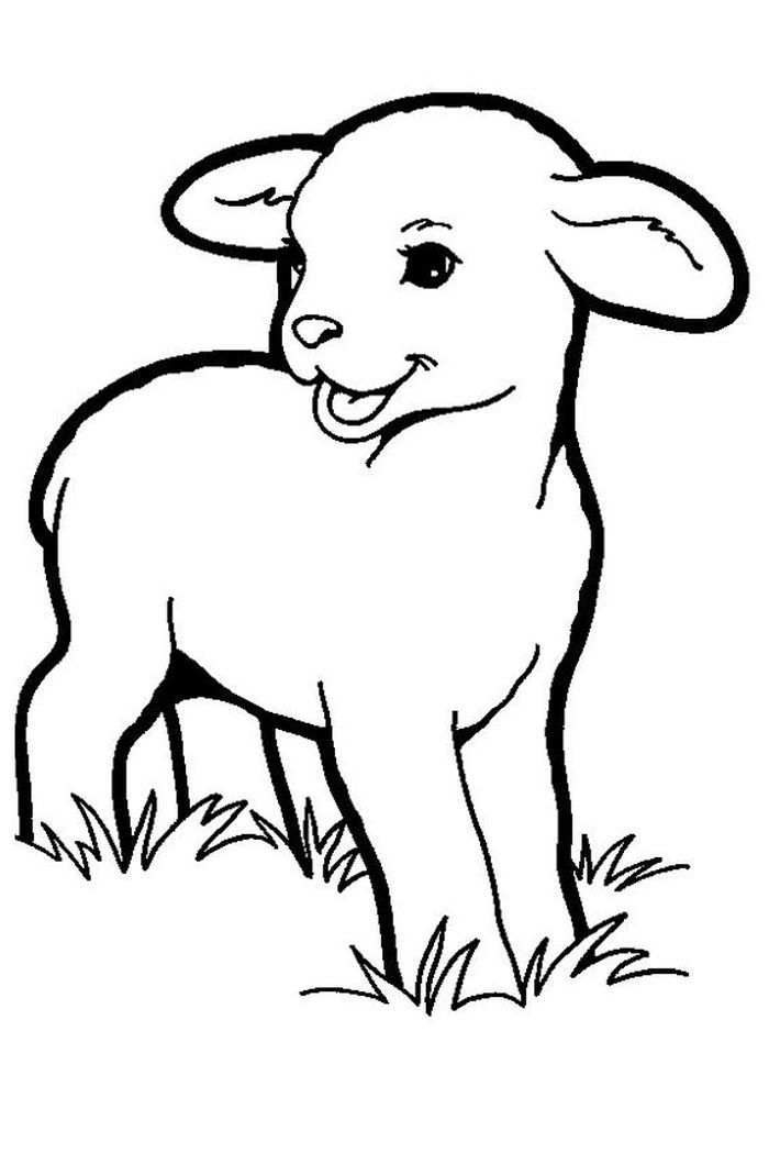 Sheep coloring pages printable pãginas de colorir animais animais para colorir pãginas para colorir