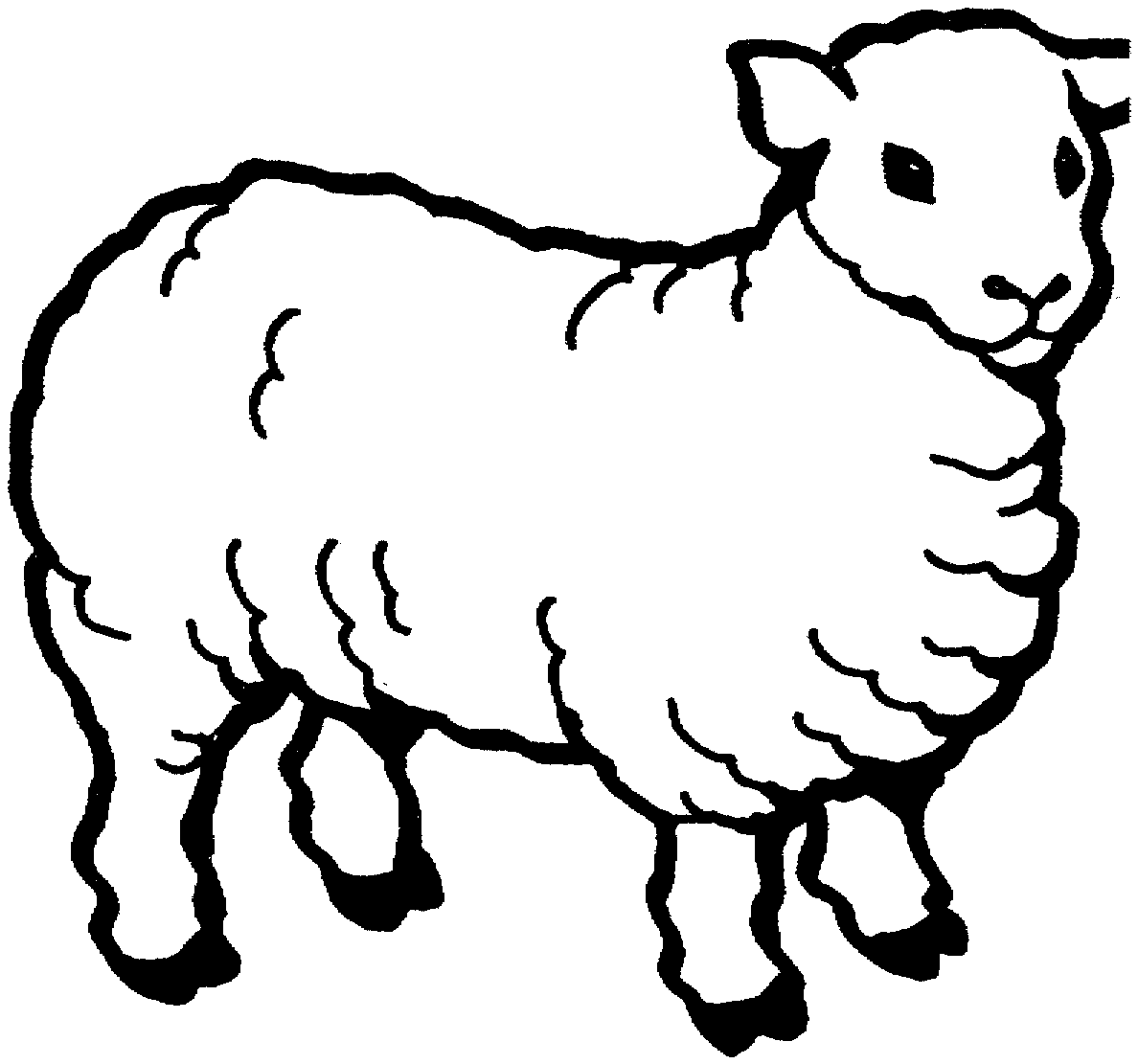 Free printable sheep coloring pages for kids