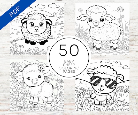 Kdp interior baby sheep coloring pages x printable pdf canva template cute animal colouring book