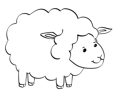 Cute sheep coloring page free printable coloring pages