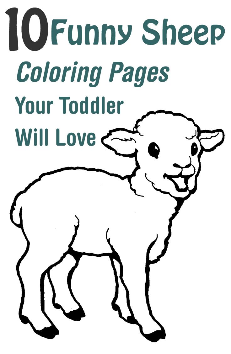 Top free printable sheep coloring pages online coloring pages coloring pages to print farm animal coloring pages