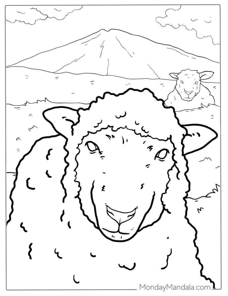 Sheep coloring pages free pdf printables