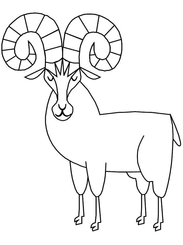 Bighorn sheep pages for kids