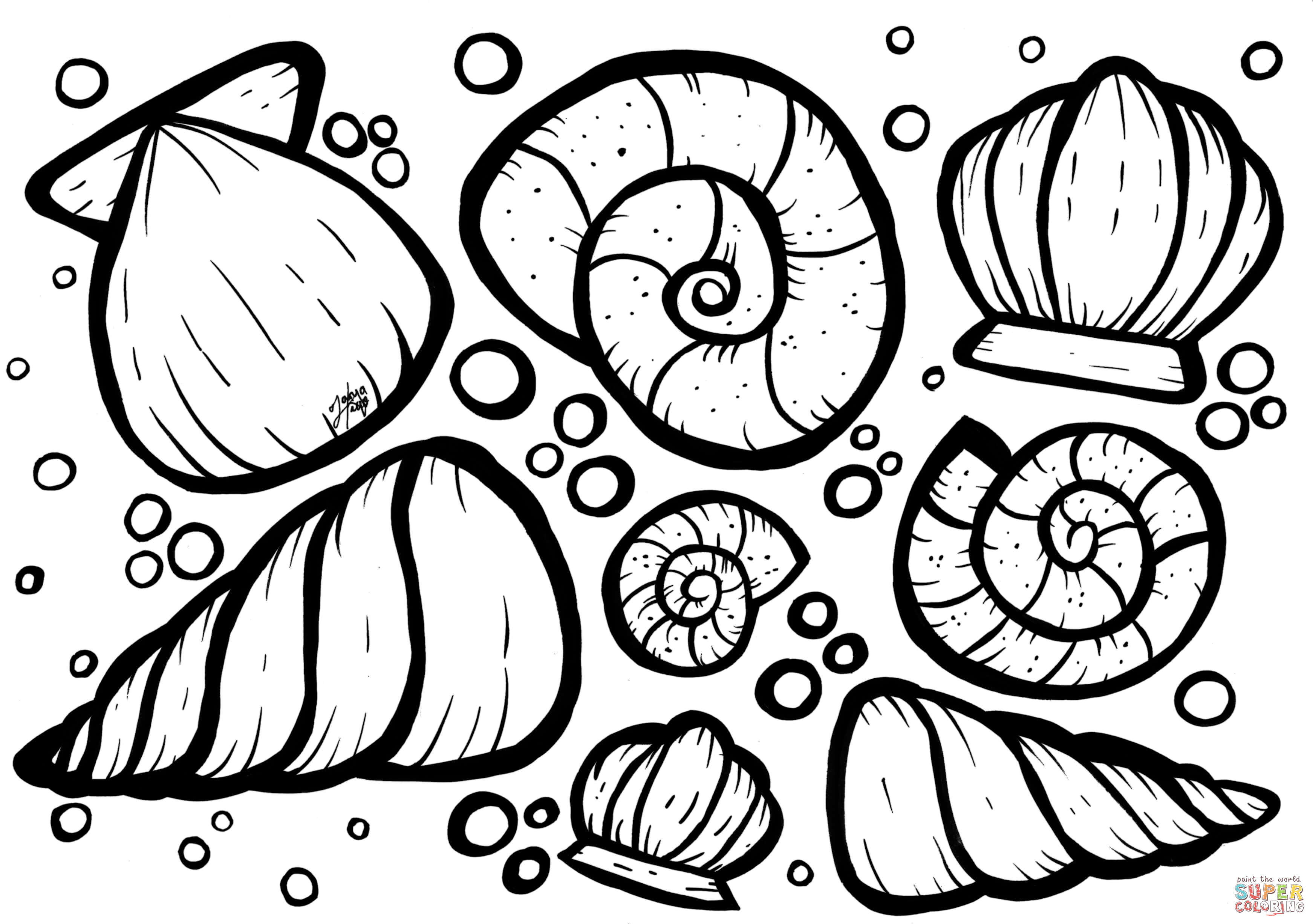 Shells coloring page free printable coloring pages