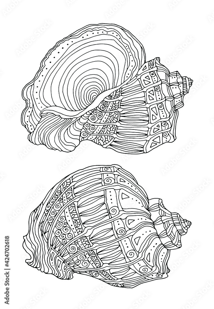 Sea shell sketch seashell clipart set vector illustration zentangle zen art coloring book page for adult hand drawn artwork black and white bohemian ethnic concept vector