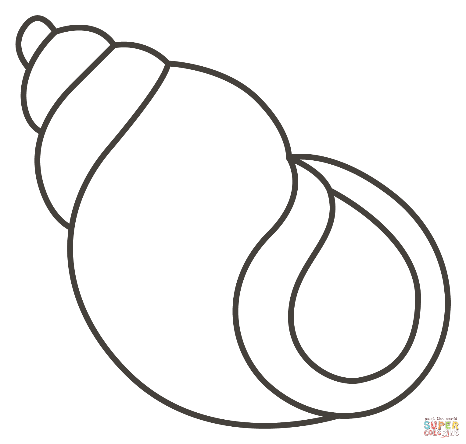 Spiral shell coloring page free printable coloring pages