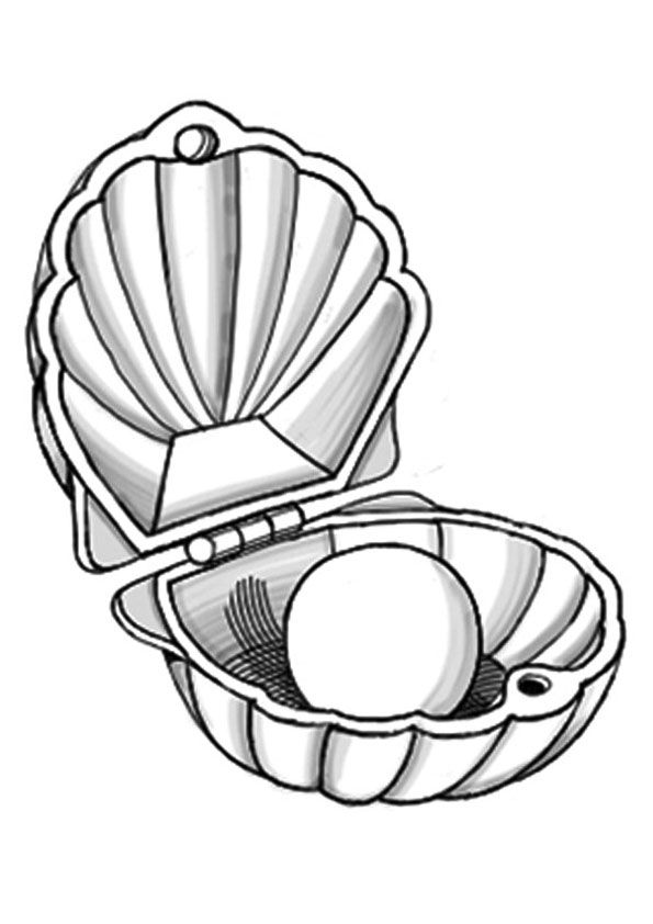 Types of sea shell coloring page coloring pages mermaid coloring pages fish coloring page