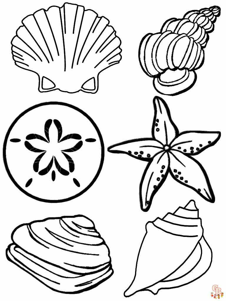 Shell coloring pages a fun and educational activity for kids