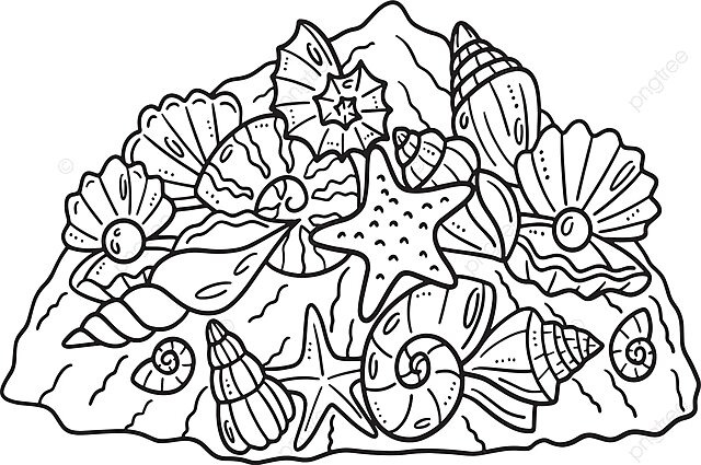 Seashells isolated coloring page for kids oyster vector coloring page vector oyster vector coloring page png and vector with transparent background for free download