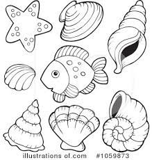 Image result for shell clipart black and white coloring pages free coloring pages free clip art